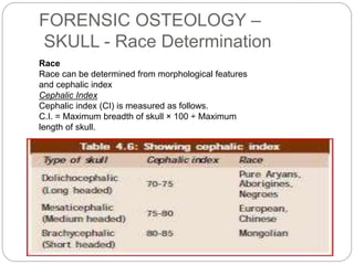 Cephalic Index 91 Example Forensic osteology | PPTX