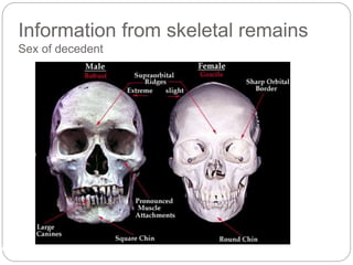 Information from skeletal remains
Sex of decedent
CHE 113 10
 