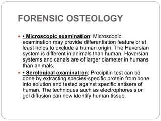 FORENSIC OSTEOLOGY
 • Microscopic examination: Microscopic
examination may provide differentiation feature or at
least he...