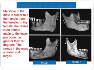 Forensic osteology Slide 74