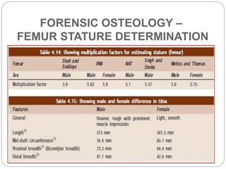 FORENSIC OSTEOLOGY –
TIBIA STATURE DETERMINATION
 