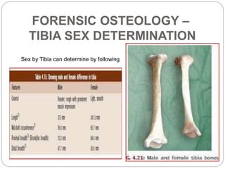 Forensic osteology
