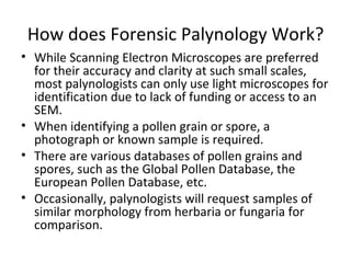 How does Forensic Palynology Work?
• While Scanning Electron Microscopes are preferred
  for their accuracy and clarity at such small scales,
  most palynologists can only use light microscopes for
  identification due to lack of funding or access to an
  SEM.
• When identifying a pollen grain or spore, a
  photograph or known sample is required.
• There are various databases of pollen grains and
  spores, such as the Global Pollen Database, the
  European Pollen Database, etc.
• Occasionally, palynologists will request samples of
  similar morphology from herbaria or fungaria for
  comparison.
 