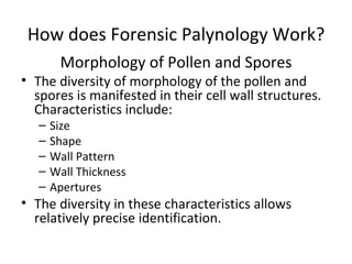 How does Forensic Palynology Work?
        Morphology of Pollen and Spores
• The diversity of morphology of the pollen and
  spores is manifested in their cell wall structures.
  Characteristics include:
   –   Size
   –   Shape
   –   Wall Pattern
   –   Wall Thickness
   –   Apertures
• The diversity in these characteristics allows
  relatively precise identification.
 