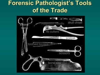 Forensic pathology | PPT