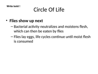 Circle Of Life
• Flies show up next
– Bacterial activity neutralizes and moistens flesh,
which can then be eaten by flies
– Flies lay eggs, life cycles continue until moist flesh
is consumed
Write bold !
 