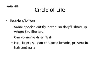 Circle of Life
• Beetles/Mites
– Some species eat fly larvae, so they’ll show up
where the flies are
– Can consume drier flesh
– Hide beetles – can consume keratin, present in
hair and nails
Write all !
 