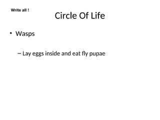 Circle Of Life
• Wasps
– Lay eggs inside and eat fly pupae
Write all !
 