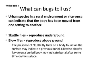 What can bugs tell us?
• Urban species in a rural environment or vice versa
can indicate that the body has been moved from
one setting to another.
• Skuttle flies – reproduce underground
• Blow flies – reproduce above ground
– The presence of Skuttle fly larva on a body found on the
surface may indicate a previous burial. Likewise blowfly
larvae on a buried body may indicate burial after some
time on the surface.
Write bold !
 