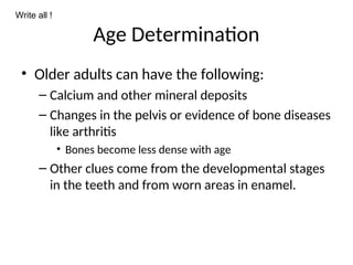 Age Determination
• Older adults can have the following:
– Calcium and other mineral deposits
– Changes in the pelvis or evidence of bone diseases
like arthritis
• Bones become less dense with age
– Other clues come from the developmental stages
in the teeth and from worn areas in enamel.
Write all !
 