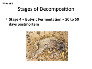 Stages of Decomposition
• Stage 4 – Butyric Fermentation – 20 to 50
days postmortem
Write all !
 