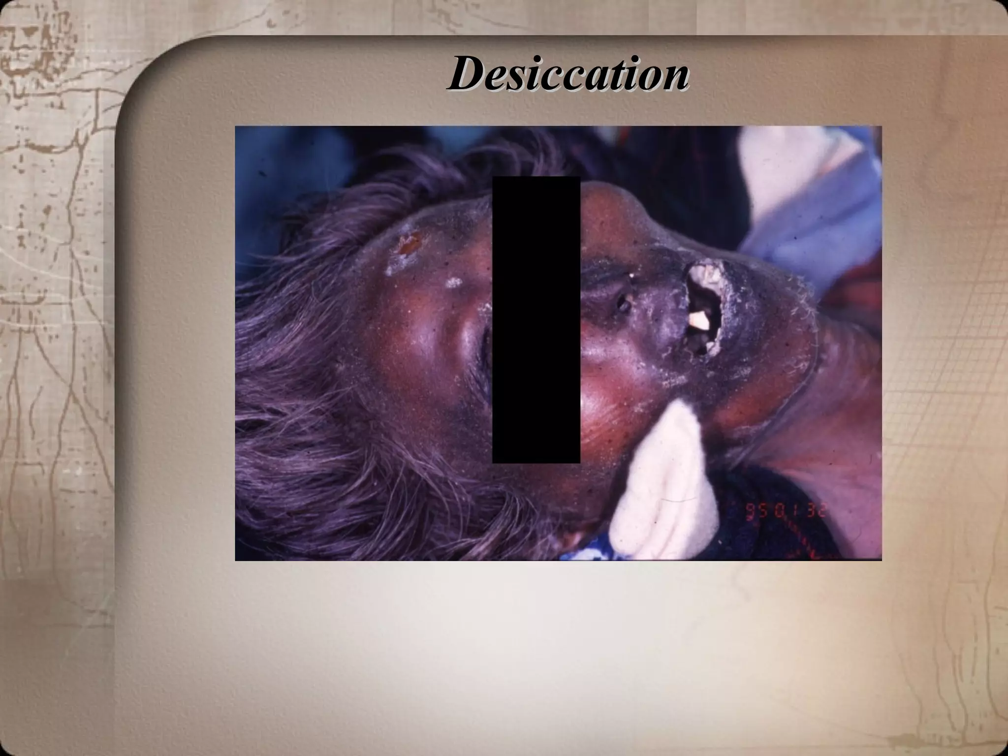 DesiccationDesiccation
 