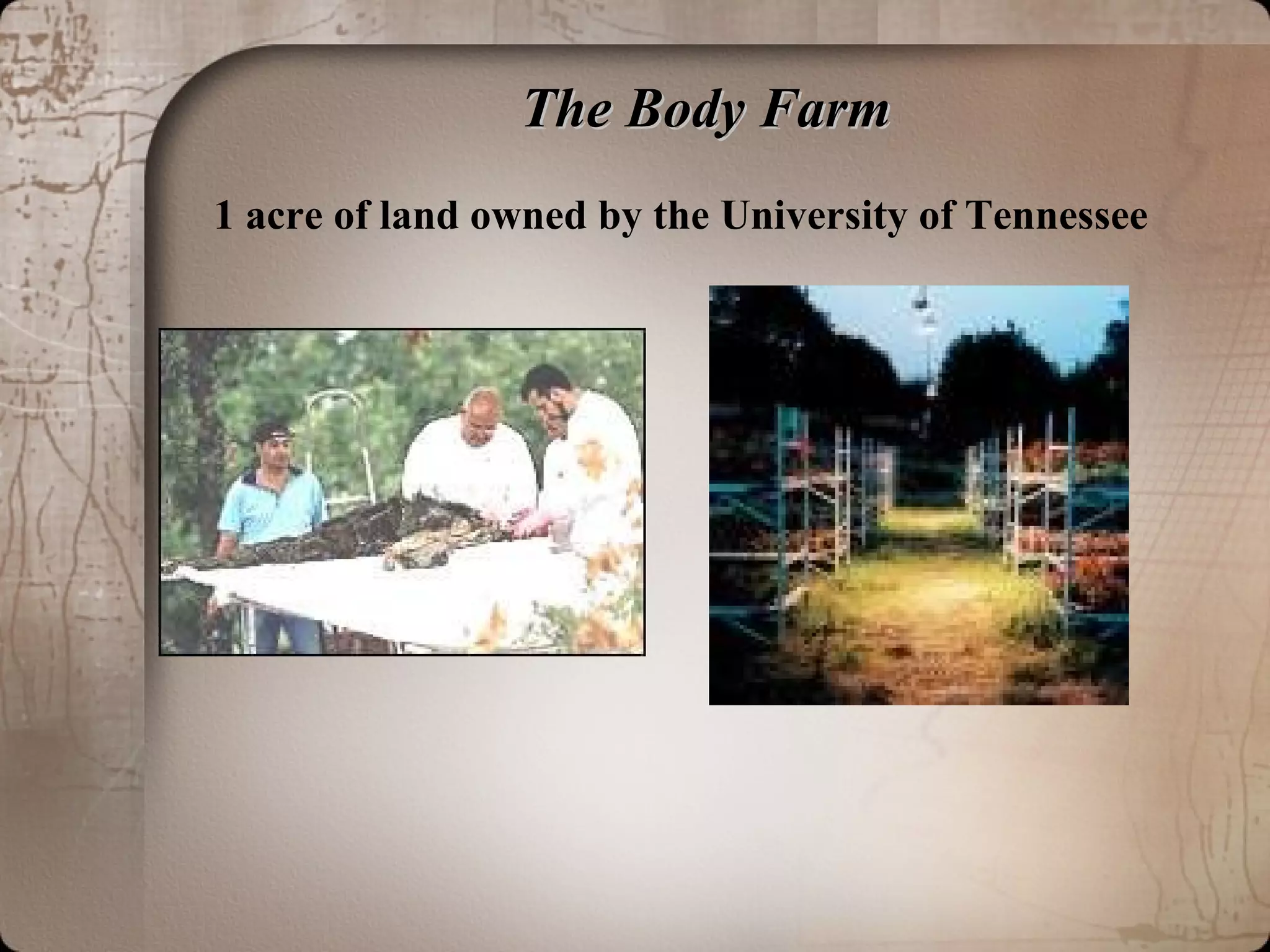 The Body FarmThe Body Farm
1 acre of land owned by the University of Tennessee
 