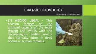 FORENSIC ENTOMOLOGY
• (1) MEDICO LEGAL – This
division focuses on the
criminal aspects of the legal
system and dwells with the
necrophagous feeding insects
that normally infest in dead
bodies or human remains.
BY: CHELDY SYGACO ELUMBA-PABLEO,MPA,LLB
 