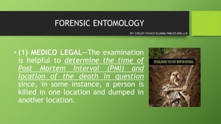 FORENSIC ENTOMOLOGY
• (1) MEDICO LEGAL--The examination
is helpful to determine the time of
Post Mortem Interval (PMI) and
location of the death in question
since, in some instance, a person is
killed in one location and dumped in
another location.
BY: CHELDY SYGACO ELUMBA-PABLEO,MPA,LLB
 