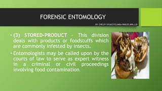 FORENSIC ENTOMOLOGY
• (3) STORED-PRODUCT – This division
deals with products or foodstuffs which
are commonly infested by insects.
• Entomologists may be called upon by the
courts of law to serve as expert witness
in a criminal or civil proceedings
involving food contamination.
BY: CHELDY SYGACO ELUMBA-PABLEO,MPA,LLB
 