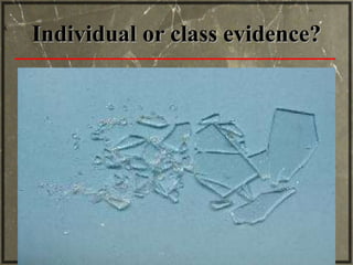 FORENSIC PHYSICS | PPT