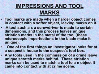 FORENSIC PHYSICS | PPT