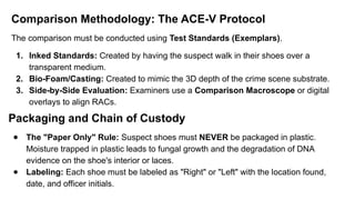 FORENSIC PHYSICS FORENSIC PHYSICS 3.pptx