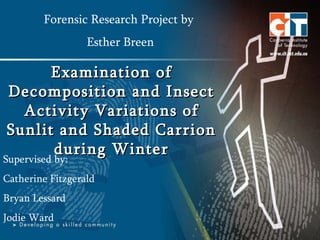 Examination of Decomposition and Insect Activity Variations of Sunlit and Shaded Carrion during Winter Forensic Research Project by  Esther Breen Supervised by: Catherine Fitzgerald Bryan Lessard Jodie Ward 