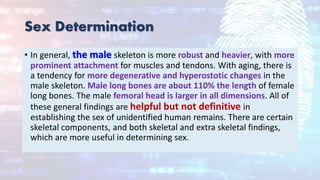 Sex Determination
• In general, the male skeleton is more robust and heavier, with more
prominent attachment for muscles and tendons. With aging, there is
a tendency for more degenerative and hyperostotic changes in the
male skeleton. Male long bones are about 110% the length of female
long bones. The male femoral head is larger in all dimensions. All of
these general findings are helpful but not definitive in
establishing the sex of unidentified human remains. There are certain
skeletal components, and both skeletal and extra skeletal findings,
which are more useful in determining sex.
 