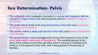 Sex Determination- Pelvis
• The subpubic arch (subpubic concavity) is narrow and triangular with an
inverted V-shape in the male and broad and with an inverted U-shape in
the female.
• The pubic bone tends to be long and narrow in the male and broad and
rectangular in the female.
• The sciatic notch is deep and narrow in the male, and is wide and shallow
in the female.
• The preauricular sulcus (paraglenoid sulcus) when present is one of the
most dependable indicators of femaleness. This variable groove in the
ilium at the inferior end of the sacroiliac joint is missing or manifest very
rarely as a thin groove in the male, and a deep groove is found only in
females.
Forensic Radiology by B. G. Brogdon, M.D
 