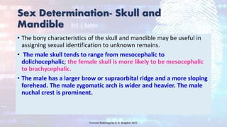 Sex Determination- Skull and
Mandible
• The bony characteristics of the skull and mandible may be useful in
assigning sexual identification to unknown remains.
• The male skull tends to range from mesocephalic to
dolichocephalic; the female skull is more likely to be mesocephalic
to brachycephalic.
• The male has a larger brow or supraorbital ridge and a more sloping
forehead. The male zygomatic arch is wider and heavier. The male
nuchal crest is prominent.
Forensic Radiology by B. G. Brogdon, M.D
 