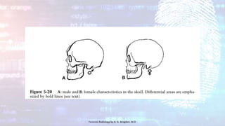 Forensic Radiology by B. G. Brogdon, M.D
 