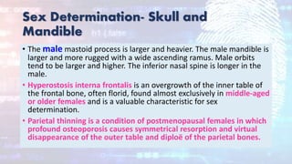 Sex Determination- Skull and
Mandible
• The male mastoid process is larger and heavier. The male mandible is
larger and more rugged with a wide ascending ramus. Male orbits
tend to be larger and higher. The inferior nasal spine is longer in the
male.
• Hyperostosis interna frontalis is an overgrowth of the inner table of
the frontal bone, often florid, found almost exclusively in middle-aged
or older females and is a valuable characteristic for sex
determination.
• Parietal thinning is a condition of postmenopausal females in which
profound osteoporosis causes symmetrical resorption and virtual
disappearance of the outer table and diploë of the parietal bones.
 