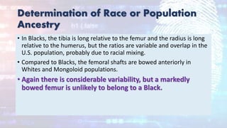 Determination of Race or Population
Ancestry
• In Blacks, the tibia is long relative to the femur and the radius is long
relative to the humerus, but the ratios are variable and overlap in the
U.S. population, probably due to racial mixing.
• Compared to Blacks, the femoral shafts are bowed anteriorly in
Whites and Mongoloid populations.
• Again there is considerable variability, but a markedly
bowed femur is unlikely to belong to a Black.
 