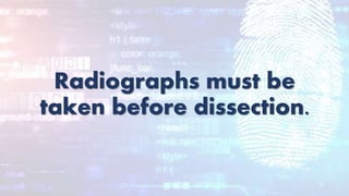Radiographs must be
taken before dissection.
 