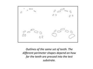 Outlines of the same set of teeth. The
different perimeter shapes depend on how
far the teeth are pressed into the test
substrate.
 