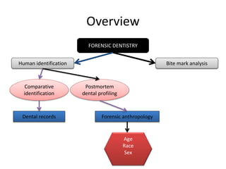 Overview
FORENSIC DENTISTRY
Human identification Bite mark analysis
Comparative
identification
Postmortem
dental profiling
Dental records Forensic anthropology
Age
Race
Sex
 