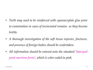 8/30/2018 37
• Teeth may need to be reinforced with cyanoacrylate glue prior
to examination in cases of incinerated remains as they become
brittle.
• A thorough investigation of the soft tissue injuries, fractures,
and presence of foreign bodies should be undertaken.
• All information should be entered onto the standard ‘Interpol
post-mortem form’, which is color-coded in pink.
 
