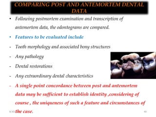8/30/2018 40
COMPARING POST AND ANTEMORTEM DENTAL
DATA
• Following postmortem examination and transcription of
antemortem data, the odontograms are compared.
• Features to be evaluated include
- Tooth morphology and associated bony structures
- Any pathology
- Dental restorations
- Any extraordinary dental characteristics
- A single point concordance between post and antemortem
data may be sufficient to establish identity ,considering of
course , the uniqueness of such a feature and circumstances of
the case.
 