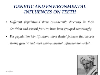 8/30/2018 75
GENETIC AND ENVIRONMENTAL
INFLUENCES ON TEETH
• Different populations show considerable diversity in their
dentition and several features have been grouped accordingly.
• For population identification, those dental features that have a
strong genetic and weak environmental influence are useful.
 
