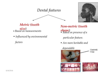 8/30/2018 77
Dental features
Metric (tooth
size)
Non-metric (tooth
shape)• Based on measurements
• Influenced by environmental
factors
• Based on presence of a
particular feature.
• Are more heritable and
dependable
 