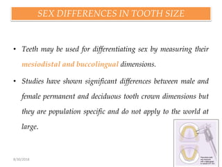 8/30/2018 85
SEX DIFFERENCES IN TOOTH SIZE
• Teeth may be used for differentiating sex by measuring their
mesiodistal and buccolingual dimensions.
• Studies have shown significant differences between male and
female permanent and deciduous tooth crown dimensions but
they are population specific and do not apply to the world at
large.
 