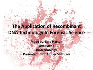 The Application of Recombinant
DNA Technology In Forensic Science
Made by: Sara Hassan
Semester 5
Biotechnology
Presented to:Dr.Amber Shehzadi

 