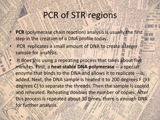 Str Pcr Process Visual Forensics | PPTX
