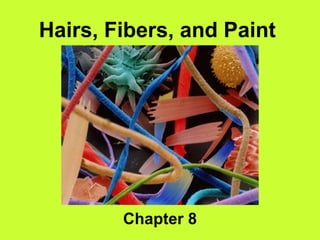 Hairs, Fibers, and Paint Chapter 8 