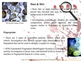 Physical EvidenceLet the evidence speak for itself.Presentation developed by T. Trimpe 2006   http://sciencespot.net/