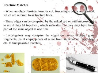 Evidence ExamplesPaint Physical and chemical analysis of paint evidence (chips or residue) can indicate it’s class, such as automobile paint, house paint, nail polish, etc. The evidence can be compared to 40,000 different types of paint classified in a database, which can be used to identify a particular make or model of car or brand of tool.
