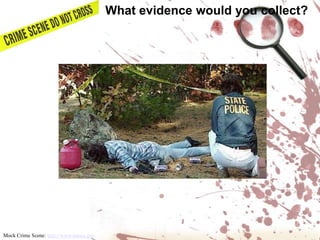 Bite Marks•  Each of the 32 teeth in humans is unique due to age and wear.• Impressions and photographs of bite marks left on a victim, assailant, or other object at a crime scene can often be matched to dental records. Impression EvidenceShoeprints & Tire Tracks• Impression evidence can be photographed, lifted with tape, or cast with plaster to compare to a suspect’s shoes or tires. • Investigators will examine the evidence to identify the brand of shoe or tire based on its tread pattern and other physical features to provide leads in the case.• Shoes and tires will also show wear patterns after being used for a period of time as well as other features (scratches, nicks, and cuts) that can  be used to match evidence to specific items. For example, shoeprints can be matched to a suspect based on how the treads on the shoes that are worn down due to that person’s walking style. Tool Marks• Tiny nicks and chips form on the edges of a tool as it is used, which can be used to identify matches between evidence and suspects. • Tools may also pick up traces of blood or other substances that can be tested or have fingerprints that can be lifted.