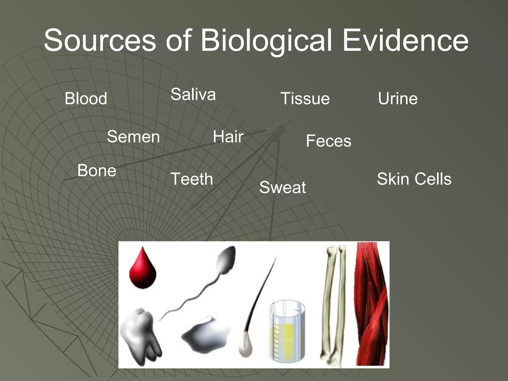 Forensic science dna | PPT