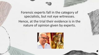 Forensic experts fall in the category of
specialists, but not eye witnesses.
Hence, at the trial their evidence is in the
nature of opinion given by experts.
 