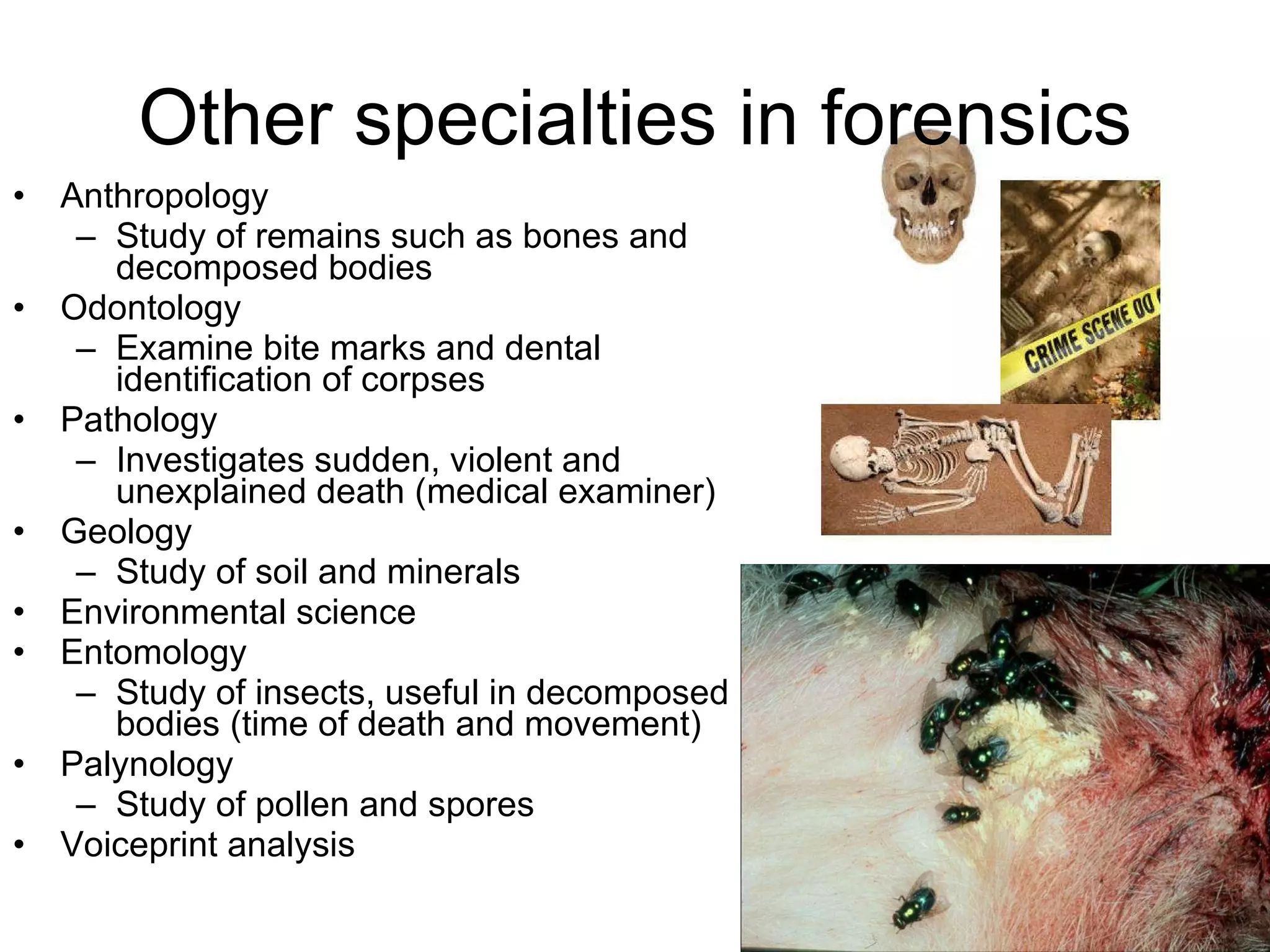 Other specialties in forensics Anthropology Study of remains such as bones and decomposed bodies  Odontology Examine bite marks and dental identification of corpses Pathology Investigates sudden, violent and unexplained death (medical examiner) Geology Study of soil and minerals Environmental science Entomology Study of insects, useful in decomposed bodies (time of death and movement) Palynology Study of pollen and spores Voiceprint analysis 