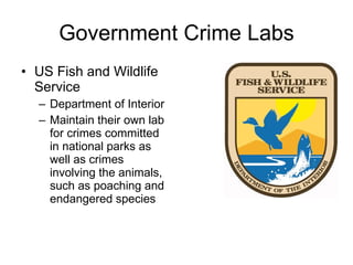 Government Crime Labs US Fish and Wildlife Service Department of Interior Maintain their own lab for crimes committed in national parks as well as crimes involving the animals, such as poaching and endangered species 