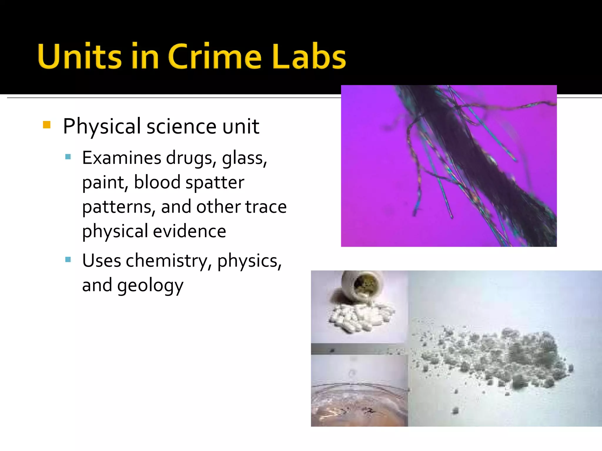Physical science unit Examines drugs, glass, paint, blood spatter patterns, and other trace physical evidence Uses chemistry, physics, and geology 