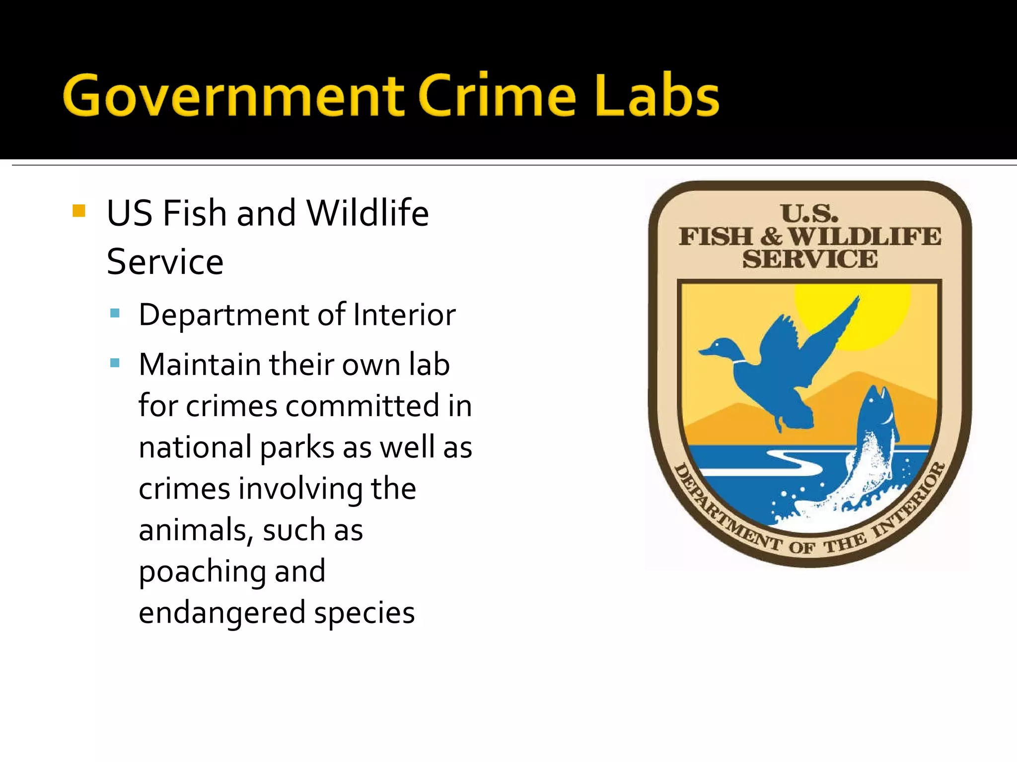 US Fish and Wildlife Service Department of Interior Maintain their own lab for crimes committed in national parks as well as crimes involving the animals, such as poaching and endangered species 